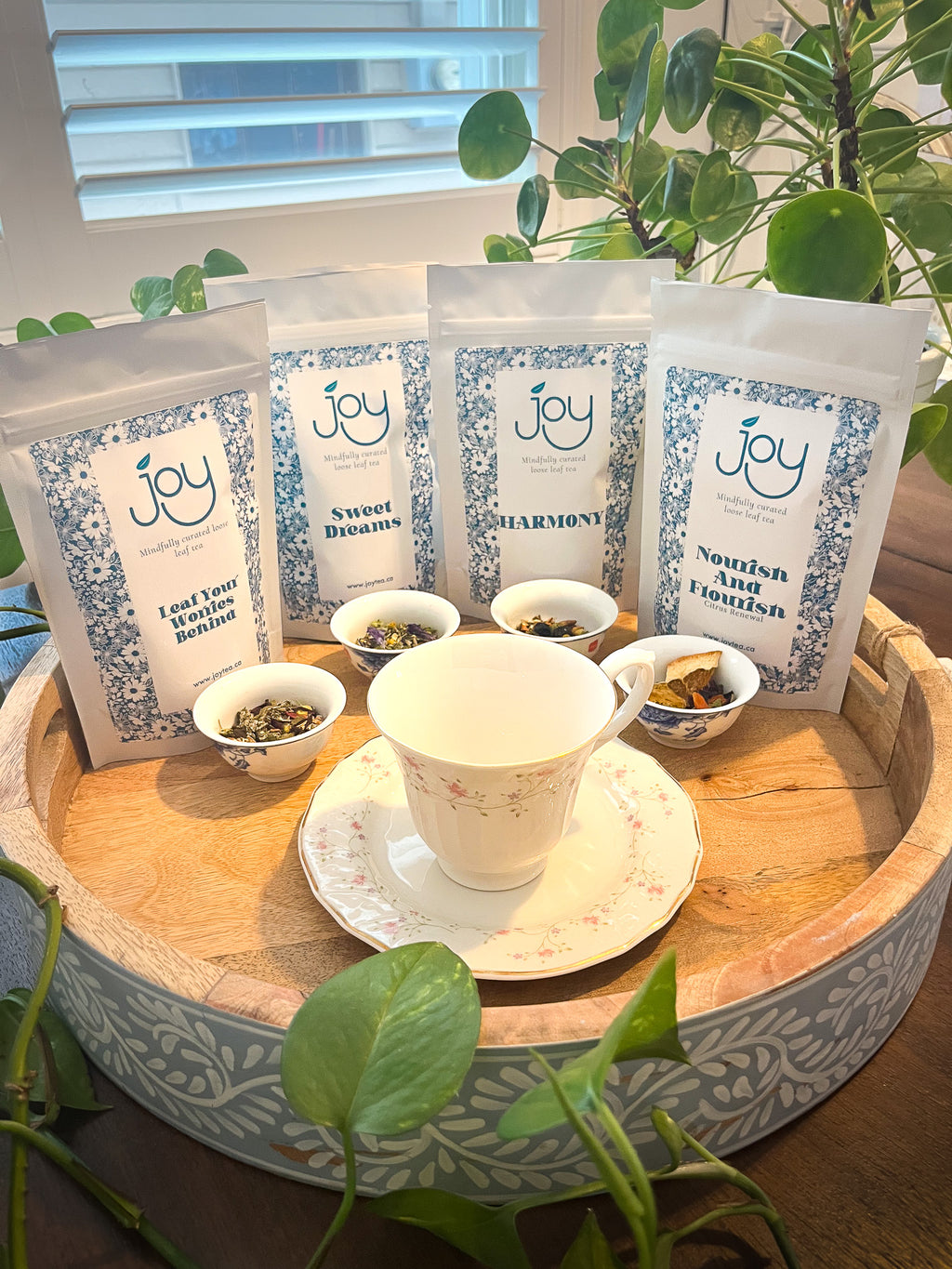 Wellness Collection