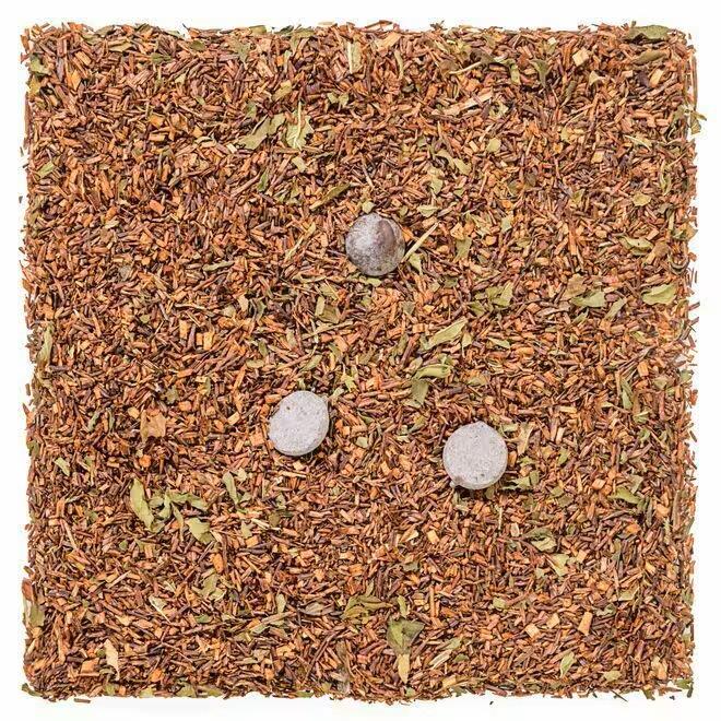 Choco-Mint (50g)