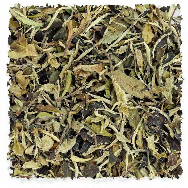 Peony Please (50g)
